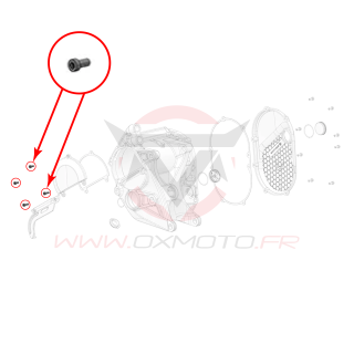 Vis de couvercle moteur gauche stark varg | Oxmoto