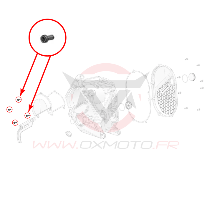 Vis de couvercle moteur gauche stark varg | Oxmoto