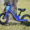 Draisienne sherco 2025 (18 mois-4 ans) | Oxmoto