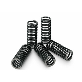 Kit ressorts d'embrayage Tecnium boîte de 6 Suzuki DRZ400