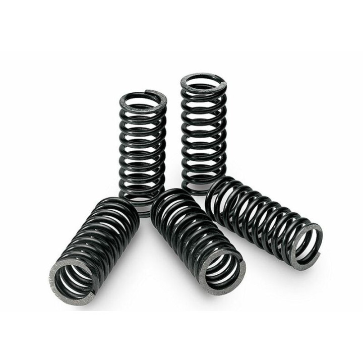 Kit ressorts d'embrayage Tecnium boîte de 6 Suzuki DRZ400