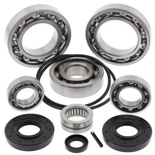 Kit roulements & joints de différentiel arrière ALL BALLS Kawasaki KRF TERYX 750