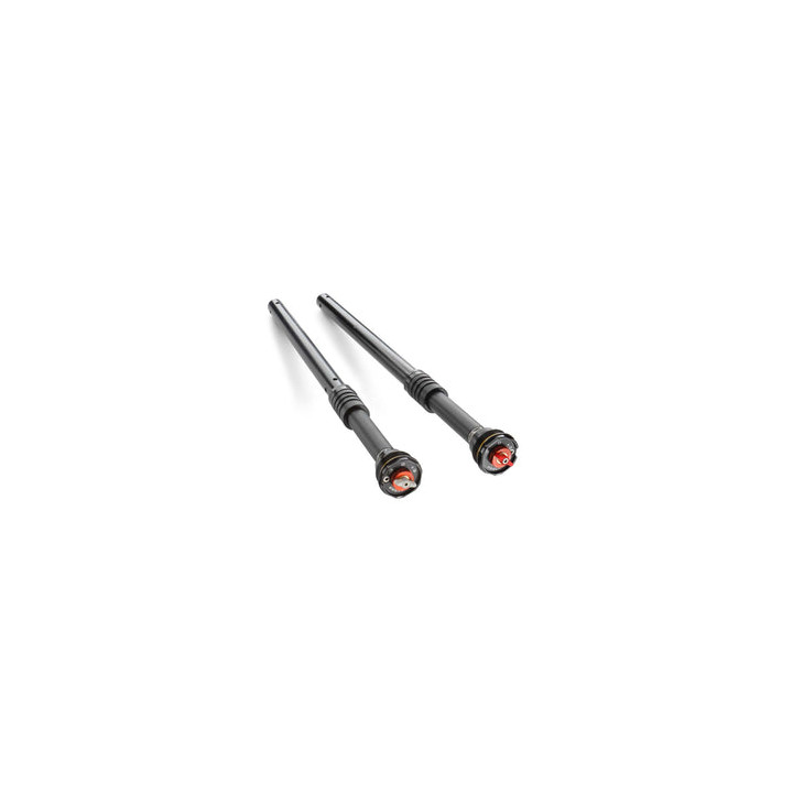 Cartouche apex pro 6500 KTM duke 2024-2025 | Oxmoto