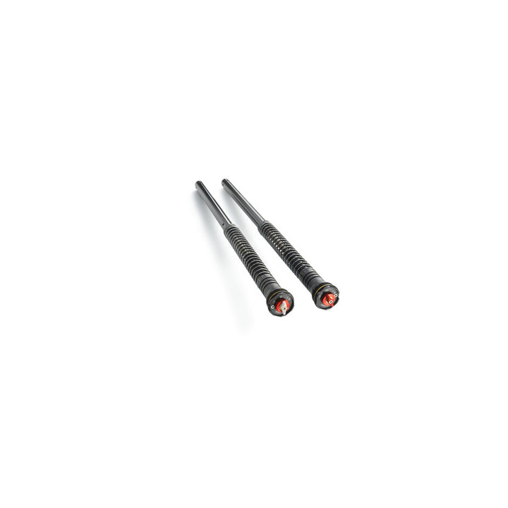 Cartouche apex pro 6500 KTM 125/390 duke 2017/2023 | Oxmoto