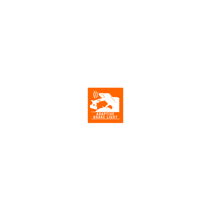 Extension de logiciel abl KTM 990 duke 2024-2025 | Oxmoto