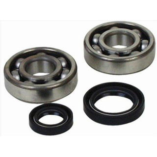 Kit roulements et joints spi de vilebrequin all balls Yamaha yfz 350 banshee