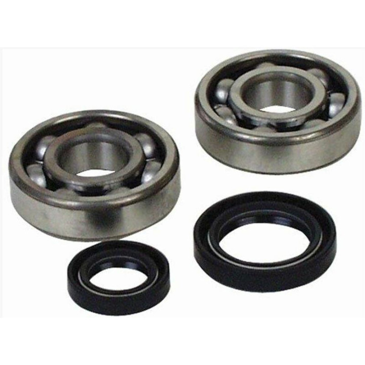 Kit roulements et joints spi de vilebrequin all balls Yamaha yfz 350 banshee