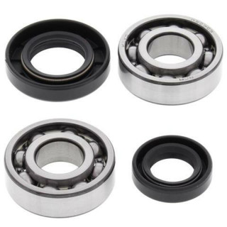 Kit roulements et joints spi de vilebrequin all balls Suzuki lt 50 quadrunner