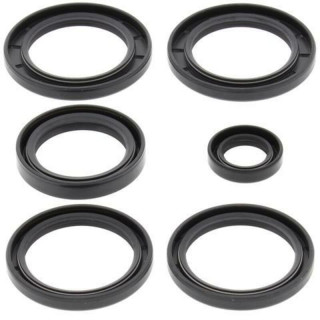 Kit joints de différentiel all balls Kawasaki kfx 700