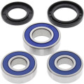 Kit roulements de roue arrière all balls Kawasaki versys 650