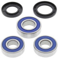 Kit roulements de roue arrière all balls Suzuki dr 650