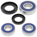 Kit roulements de roue arrière all balls Suzuki sv 650