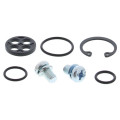 Kit de réparation de robinet d'essence all balls Kawasaki vulcan 1500