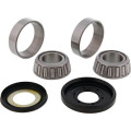 Kit roulements de colonne de direction all balls gas gas txt 250