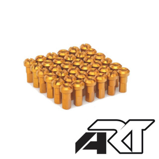 Jeu de têtes de rayon HAAN WHEELS - x36 TR-GOLD | Oxmoto