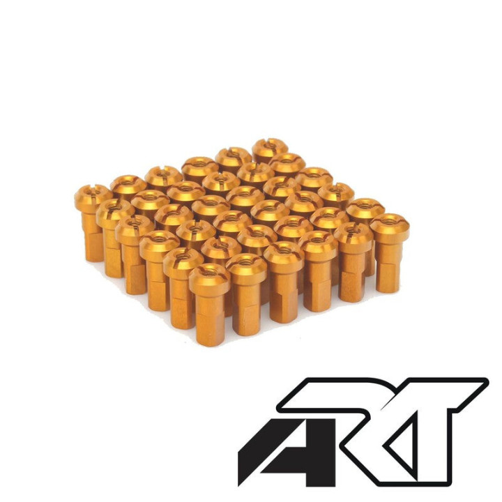 Jeu de têtes de rayon HAAN WHEELS - x36 TR-GOLD | Oxmoto
