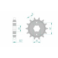 Pignon AFAM acier standard 20502 - 530 1074905002 | Oxmoto