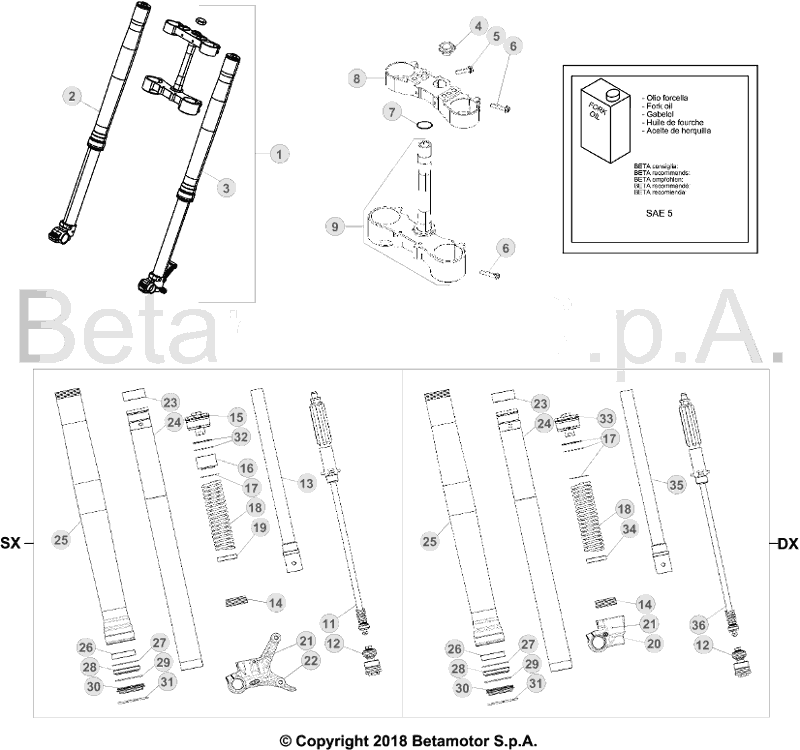 vue éclatée fourche - beta rr 125 2019