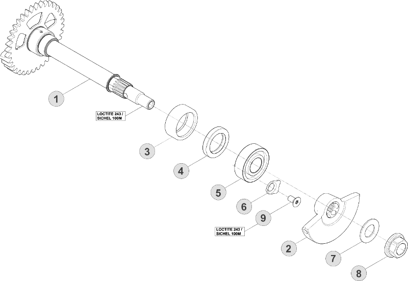 vue éclatée vilebrequin / piston / arbre d’équilibrage - beta rr 350 2017