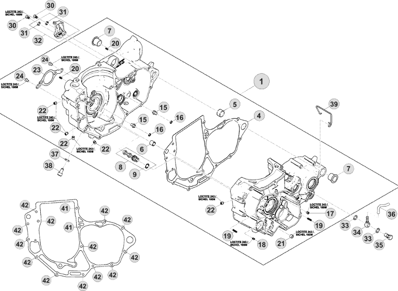 vue éclatée carter moteur - beta rr 450 2012
