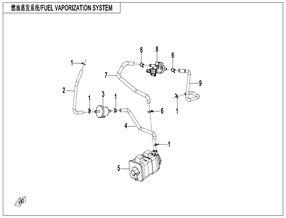 vue éclatée fuel evaporation system - cfmoto cf125 nk e5+ 2025