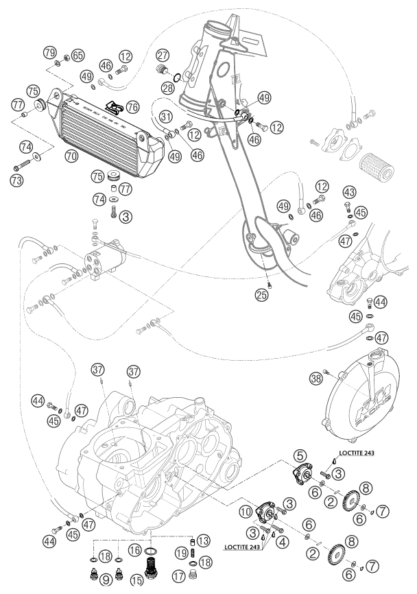vue éclatée système de lubrification - ktm 660 rallye factory repl. eu 2003