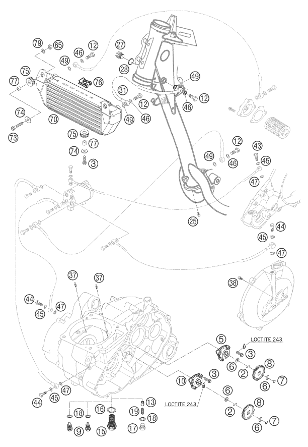 vue éclatée système de lubrification - ktm 660 rally factory replica eu 2007